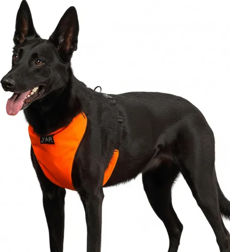 Vista 11 de YAP Techno® - Arnés para perro sin tirones, ajustable en 4 direcciones, arnés de chaleco para perro con control de temperatura, arnés para perro sin