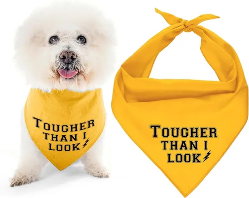 Vista 21 de Parisian Pet Bandanas naranjas para perros – Bandana ajustable para cachorros – Accesorios para perros para niños y niñas – Pañuelo para perros Best