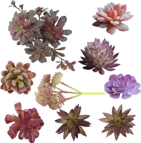 Vista 12 de Zhiheng Plantas suculentas artificiales surtidas (mutil)