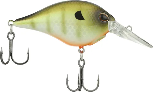 Vista 31 de Berkley Señuelo Duro de Pesca Dime