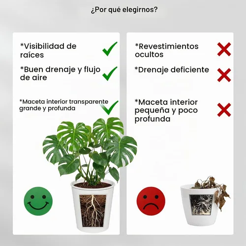 Vista 4 de Olla de riego automático de 6 pulgadas con maceta transparente en Blanco