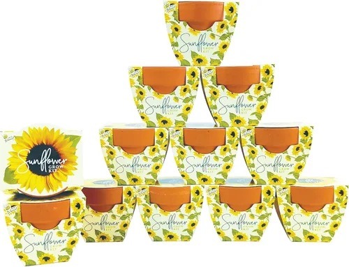 Vista 6 de BUZZY Seeds Daydream - Mini macetas de terracota con paquetes de semillas de margarita, juego de iniciación todo en uno con instrucciones medianas