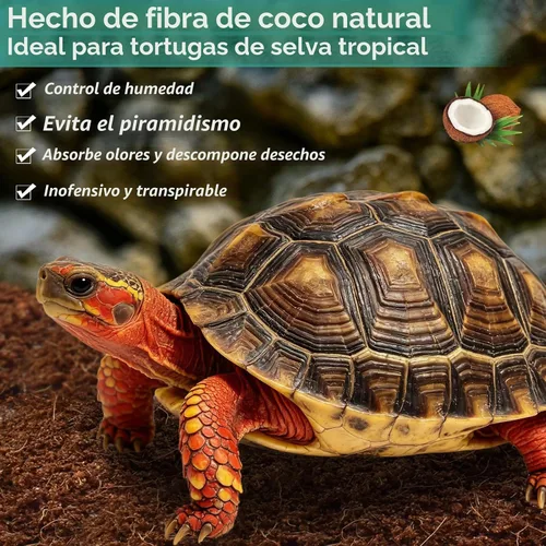 Vista 3 de Halatool - Paquete de 1 sustrato de fibra de coco comprimido para reptiles 1 Paquete