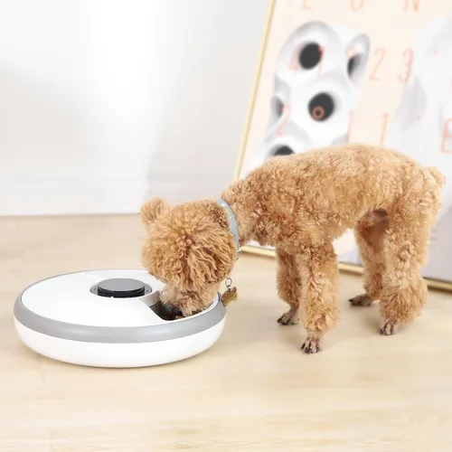 Vista 7 de Amazon Basics Comedero automático para mascotas con paquete de refrigeración, 12.4 x 12.4 x 3.3 in, color blanco
