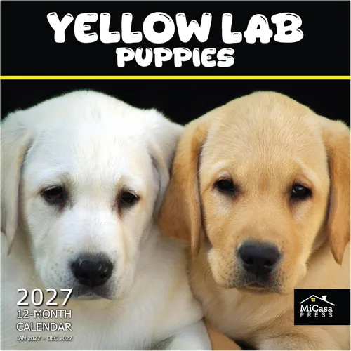 Vista 110 de MICASA PRESS Calendario de pared de Australian Shepherds Aussies 2027 02 - Pastores australianos