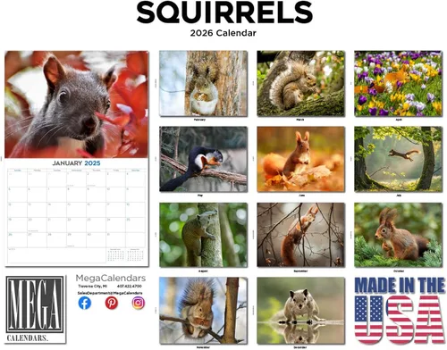 Vista 158 de Calendario de grises africanos 2025 2026 – Planificador mensual de pared de aves africanas – 12 x 18 pulgadas (abierto), calendario de pared