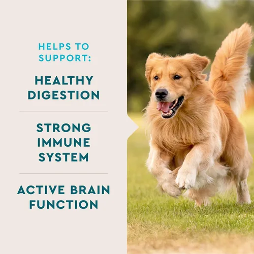 Vista 2 de VetIQ Suplemento multivitamínico para perros, apoya la función cerebral activa, el sistema inmunológico y el sistema digestivo, multivitamínico