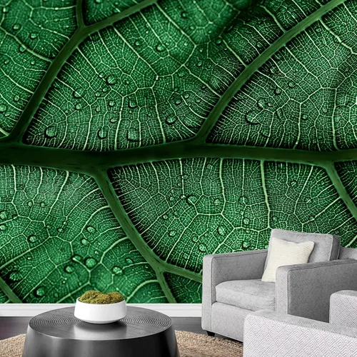 Vista 24 de wall26 serie Wall Mural Papel de empapelar autoadhesivo, grande., WMR-WP-X-D986-66x24x4