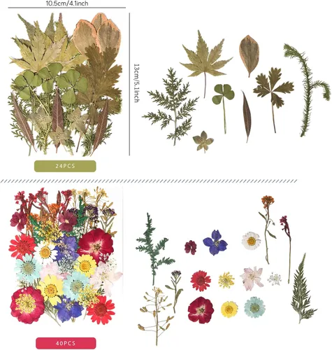 Vista 7 de 184 PCS Real Pressed Dried Flowers and Leaves for Resin Multi