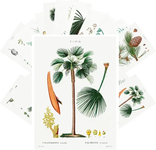 Vista 10 de PIXILUV Johann - Postales vintage (24 unidades), diseño de flores salvajes, jardín, aun vida, arte de pintura de museo antiguo, reimpresión