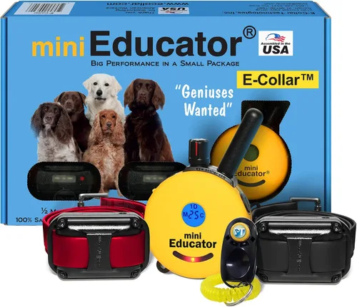 Vista 14 de Educator ET-302 Collar Mini Negro E para Adiestramiento de Perros con Control Remoto - Alcance de 1/2 Milla, Resistente al Agua, 100 Niveles