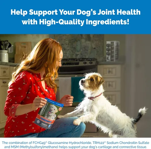 Vista 4 de Tabletas masticables para perros de Nutramax Cosequin DS
