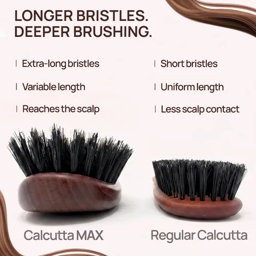 Vista 7 de Calcuta Max - Cepillo de cerdas de jabalí extra rígido 100% puro, perfecto para cabello grueso, mango de madera de fresno térmico, cepillo