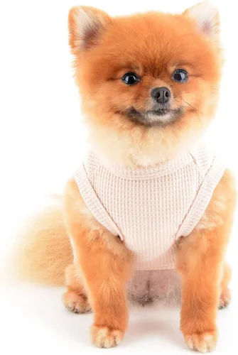 Vista 3 de SMALLLEE_LUCKY_STORE Camiseta sin mangas de punto gofre con bonito oso para cachorros, para perros pequeños, gatos, niños y niñas, camiseta