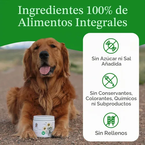 Vista 3 de Dr. Harvey's Suplemento multivitamínico y mineral a base de hierbas para perros (7 onzas)