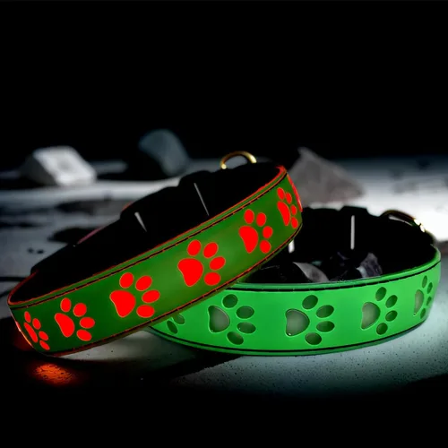 Vista 2 de Collar de perro con luz LED USB-C, diseño 3D, material cómodo y suave, iluminación multicolor, collar de perro nocturno (PW-verde, XS