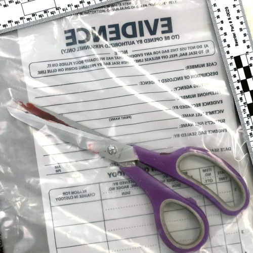 Vista 5 de Bolsa de plástico para evidencia, 100 unidades, L