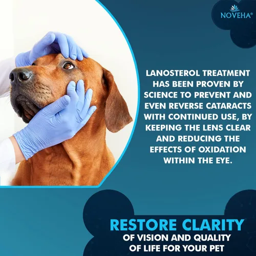 Vista 7 de NOVEHA Gotas para Mascotas Solución Avanzada de Lanosterol + NAC (2 x 10 mL)