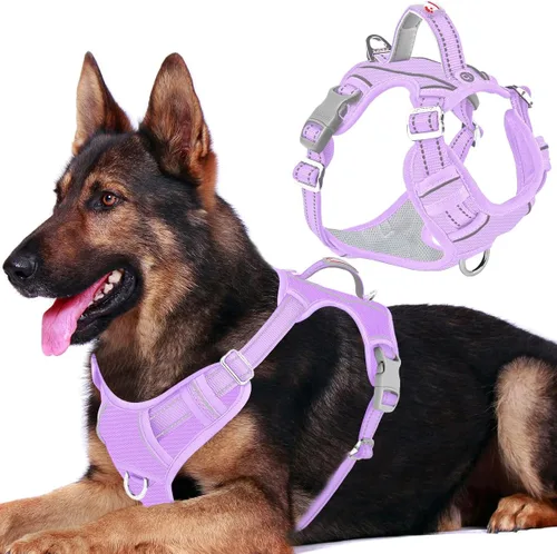 Vista 47 de BARKBAY Arnés Oxford sin tirones para perro con bolsillo para etiqueta de identificación, resistente, reflectante, fácil control para perros grandes