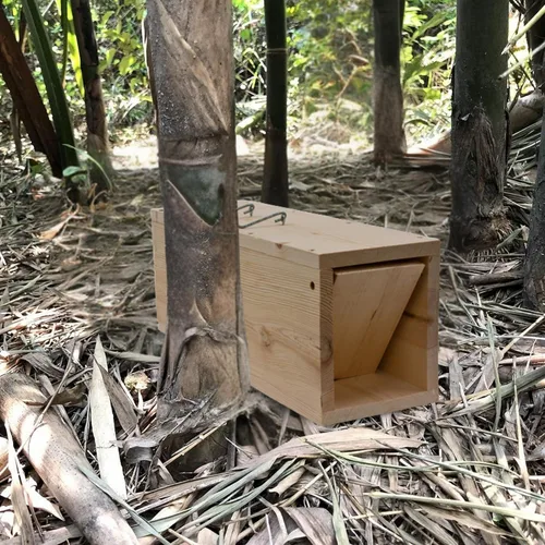 Vista 5 de Trampa de madera para conejos, 24 pulgadas, caja de captura de vida humana Trampa de caja de pino de 24 pulgadas, captura de vida humana