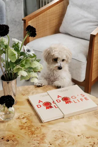 Vista 6 de Life of a Dog by Printworks