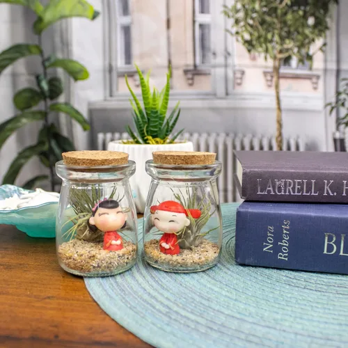 Vista 3 de Kit de terrario de 3 pulgadas con mini tarro de vidrio de Tillandsia Ionantha vivo, arena, vidrio marino de colores y figura miniatura para jardines