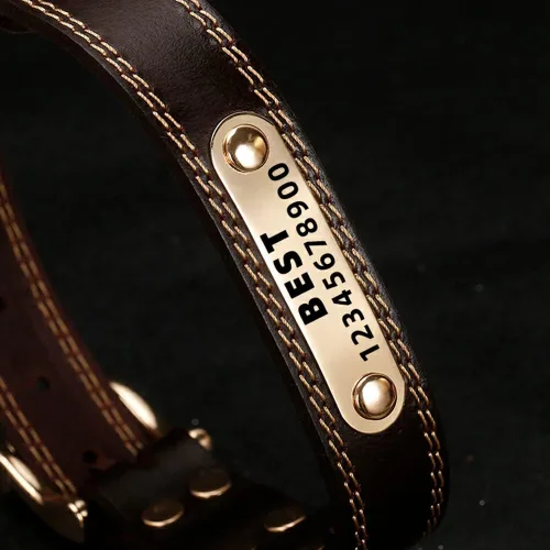 Vista 2 de Collar de perro personalizado de cuero genuino con nombre