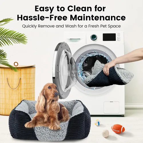 Vista 2 de Miguel Cama lavable para perros y gatos con cojín extraíble para perros medianos y pequeños, sofá cama para mascotas fácil de lavar con cojín Negro
