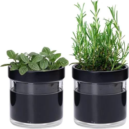 Vista 16 de Phoenix Vine Macetero de terracota de riego automático de 4 pulgadas, maceta de arcilla de terracota negra con depósito de vidrio para plantas