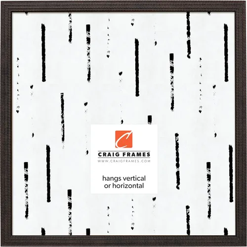 Vista 25 de Craig Frames Farnsworth - Marco de fotos (3.9 x 5.9 in), color plateado