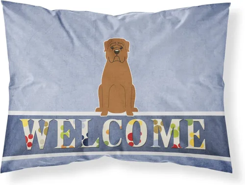 Vista 261 de Caroline's Treasures BB2515PILLOWCASE Between Friends Appenzeller Sennenhund - Funda de almohada de tela estándar, ligera, súper suave, fácil