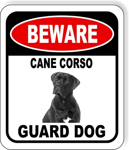 Vista 118 de BEWARE BASSETT HOUND GUARD DOG - Letrero compuesto de aluminio para exteriores, 8.5 x 10 pulgadas CUIDADO BASSETT HOUND GUARD PERRO