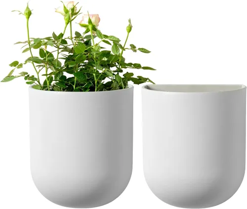 Vista 8 de La Jolie Maison Macetas colgantes de pared para plantas de interior, macetas colgantes para plantas de aire suculentas, juego de 2, 6 pulgadas