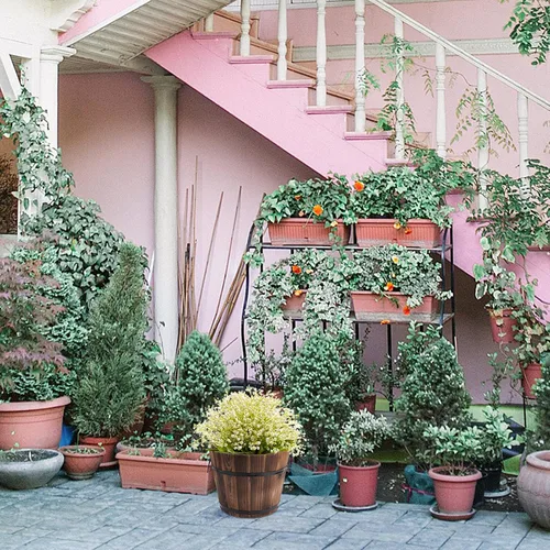 Vista 9 de Yardwe Cubos de barril de madera para whisky con asa, maceta de flores, macetas, cajas para cafetería, jardín, plantas hidropónicas