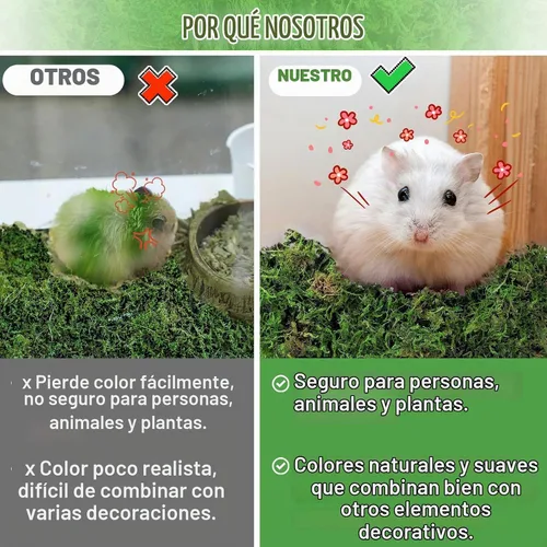 Vista 3 de Musgo verde natural de 10 onzas para plantas de interior, musgo real de bosque seco para manualidades, jardines de hadas artificiales, mosswall
