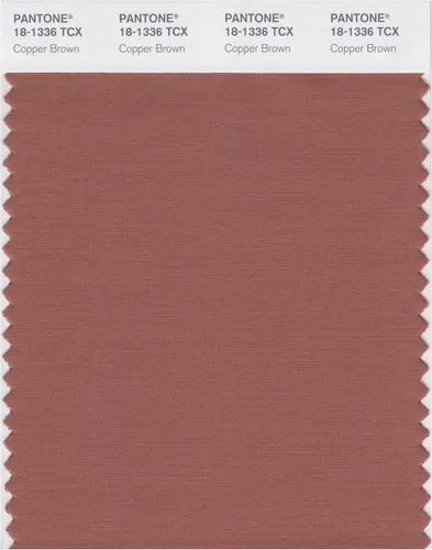 Vista 4 de PANTONE Tarjeta de muestra de color inteligente 18-1314X, bellota