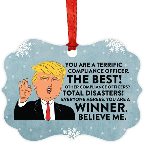 Vista 36 de Andaz Press Presidente Donald Trump Fancy Frame Recuerdo Adorno de Navidad Regalo de broma Ejecutivo de Cuenta, 1 paquete, Divertidas Ideas