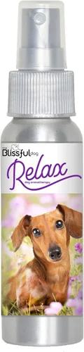 Vista 169 de The Blissful Dog Labrador Retriever Relax Roll-On Aromaterapia para perros