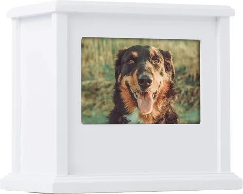 Vista 10 de Pearhead Urna de cerámica para mascotas Forever in Our Hearts, Memorial Urna Gold My Heart