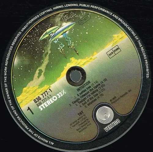 Vista 3 de Intuition