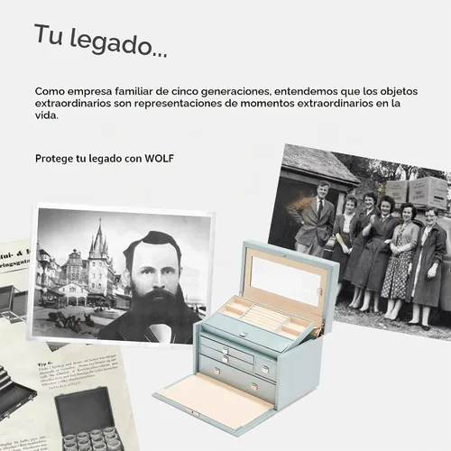 Vista 6 de WOLF Heritage - Joyero mediano de peltre, 28 compartimentos, 10 rollos de anillo, 20 agujeros para aretes + 10 compartimentos para collares, incluye