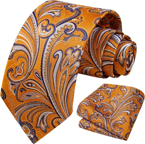 Vista 128 de HISDERN Corbatas para hombre, corbata de cachemira y bolsillo cuadrado tejido clásico floral para hombre, corbata de fiesta de boda