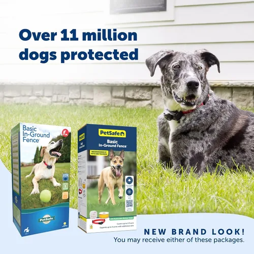 Vista 7 de PetSafe Valla Básica Subterránea para Mascotas, Valla Subterránea para Perros, Contención Eléctrica para Mascotas, Collar Impermeable para Perros