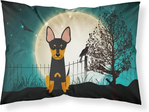 Vista 222 de Caroline's Treasures BB2515PILLOWCASE Between Friends Appenzeller Sennenhund - Funda de almohada de tela estándar, ligera, súper suave, fácil