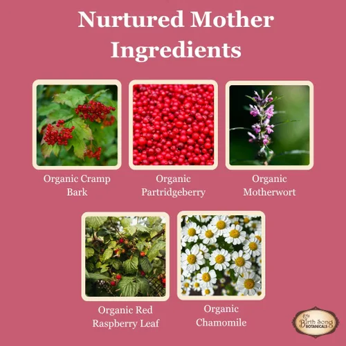 Vista 6 de Birth Song Botanicals Nutrida madre posparto esencial y suplemento de apoyo, tintura de hierbas después del parto para nuevas mamás después