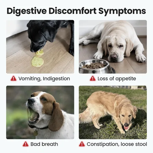 Vista 3 de Suplemento de probióticos masticables para perros, apoya la salud digestiva e intestinal, con prebióticos y enzimas para aliviar la diarrea