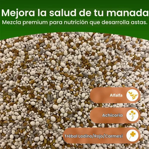 Vista 3 de Semillas de parcela de alimentos de alfalfa + trébol para ciervos [perennes] – Semillas de parcela de alimentos perennes – Mezcla de semillas