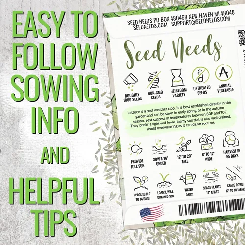 Vista 4 de Seed Needs Semillas de lechuga romana para plantar reliquia y sin OMG, 1 paquete