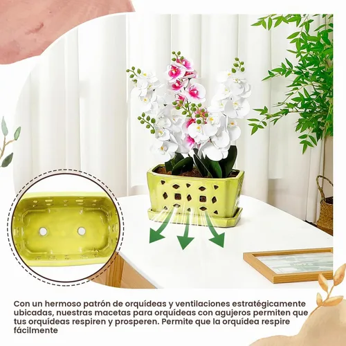 Vista 5 de Teenyyou - Maceta de orquídea de cerámica de 9.5 pulgadas con platillo para Amarillo