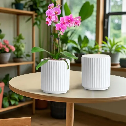 Vista 6 de MUZHI Macetero de cerámica blanca de doble capa con platillo, macetas de orquídeas con agujeros de 4.6 pulgadas, juego de 2, moderna maceta Blanco